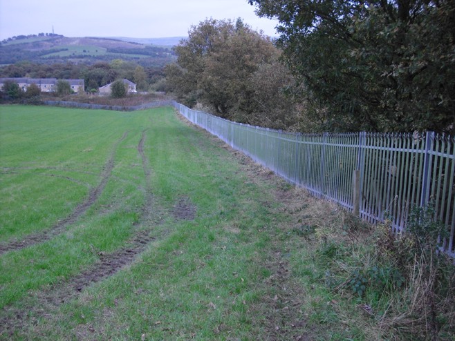 Palisade Fencing